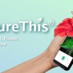 PictureThis v5.0.14 MOD APK (Premium Unlocked) Download