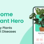 Plant Identification v2.20.0 MOD APK (Premium Unlocked) Download