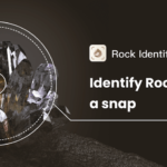 Stone ID MOD APK v2.3.44 (Premium Unlocked) Download